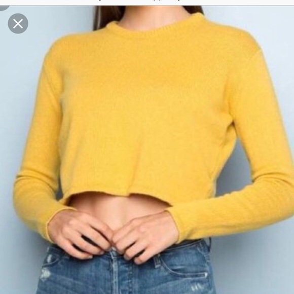 Brandy Melville Sweaters - Cropped Brandy Melville sweater